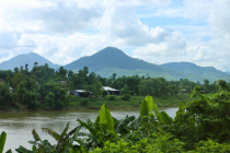 Vietnamas