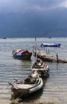 Vietnamas