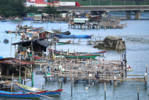 Vietnamas