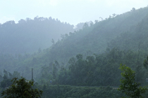 Vietnamas