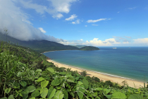 Vietnamas