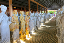 Vietnamas