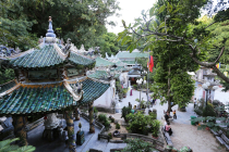 Vietnamas