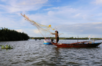 Vietnamas