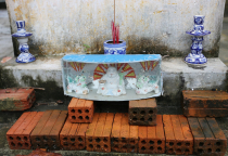 Vietnamas