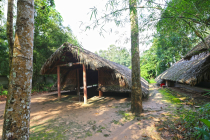Vietnamas