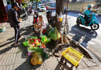 Vietnamas