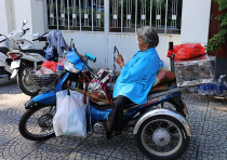 Vietnamas
