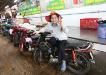 Vietnamas