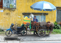 Vietnamas