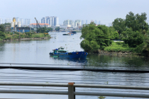 Vietnamas