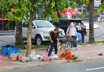 Vietnamas