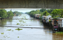 Vietnamas