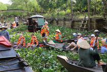 Vietnamas
