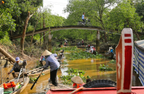 Vietnamas
