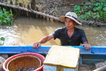 Vietnamas