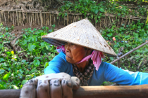 Vietnamas