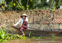 Vietnamas
