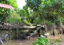 Vietnamas
