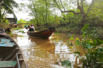 Vietnamas