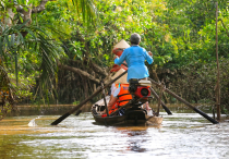 Vietnamas