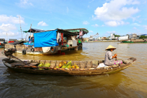 Vietnamas