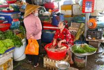 Vietnamas