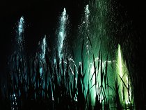 &quot;Spalvotas fontanas&quot; Alina Akcijonaitienė