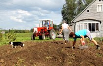 &quot;Bulviakasis&quot; Alina Akcijonaitienė