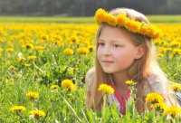 &quot;Pienių princesė&quot; Albina Jasinskaitė