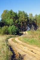 &quot;Keliukas&quot; Gintaras Vitulskis