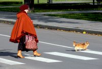 &quot;Perėja&quot; Alina Akcijonaitienė