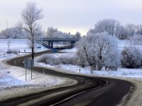 &quot;Šaltis&quot; Alina Akcijonaitienė