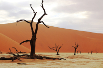 &quot; Namibija 2022&quot; Saulė Prušinskaitė