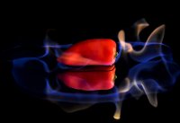 &quot;Deganti paprika&quot; Albina Jasinskaitė