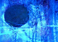 &quot;Pilnaties naktis&quot; Nijolė Piškinaitė
