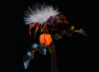 &quot;Oranžinis pipiras&quot; Eugenija Šeinauskienė