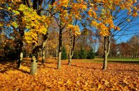 Rudens spalvos