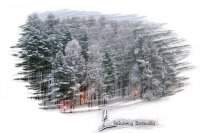 5 Birutė Simanavičienė