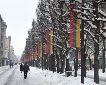 &quot;Laisvės alėja žiemą&quot; Vida Jankaitienė