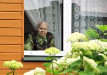 &quot;Laukimas&quot; Albina Jasinskaitė