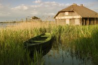 &quot;Maskuotė&quot; Birutė Simanavičienė