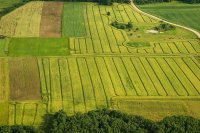 &quot;Lietuviškas menas&quot; Birutė Šimonienė