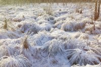 &quot;Baltam patale&quot; Birutė Šimonienė