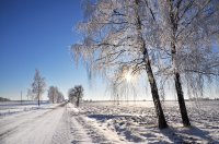 &quot;Kelias į namus&quot; Albina Jasinskaitė