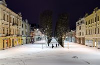 &quot;Laisvės alėja pasitinka rytą&quot; Vida Jankaitienė