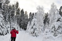 &quot;Miško taku&quot; Eugenija Šeinauskienė