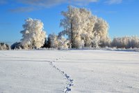 &quot;Pėdos sniege&quot; Rita Būgienė