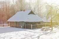 &quot;Žiemiškas rytas&quot; Birutė Šimonienė