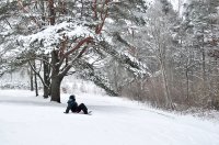 &quot;Žiemos malonumai&quot; Eugenija Šeinauskienė